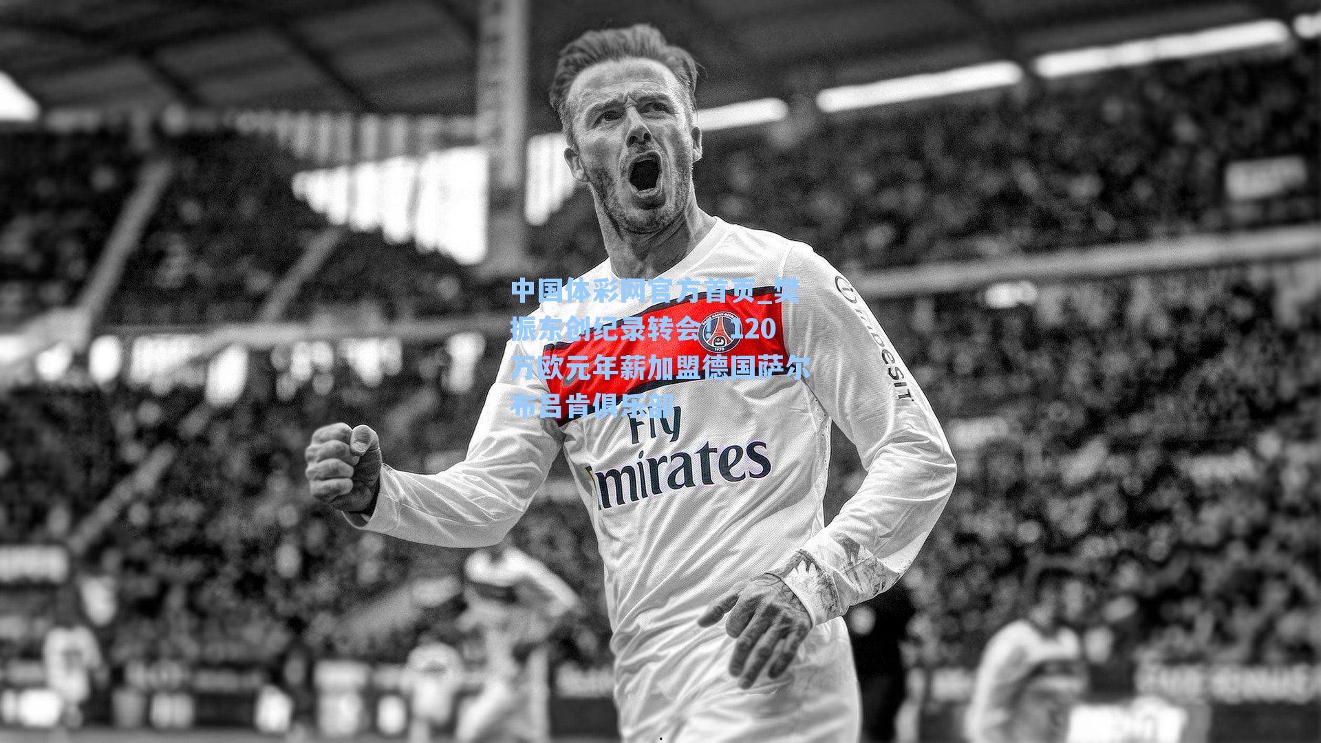 樊振东创纪录转会！120万欧元年薪加盟德国萨尔布吕肯俱乐部