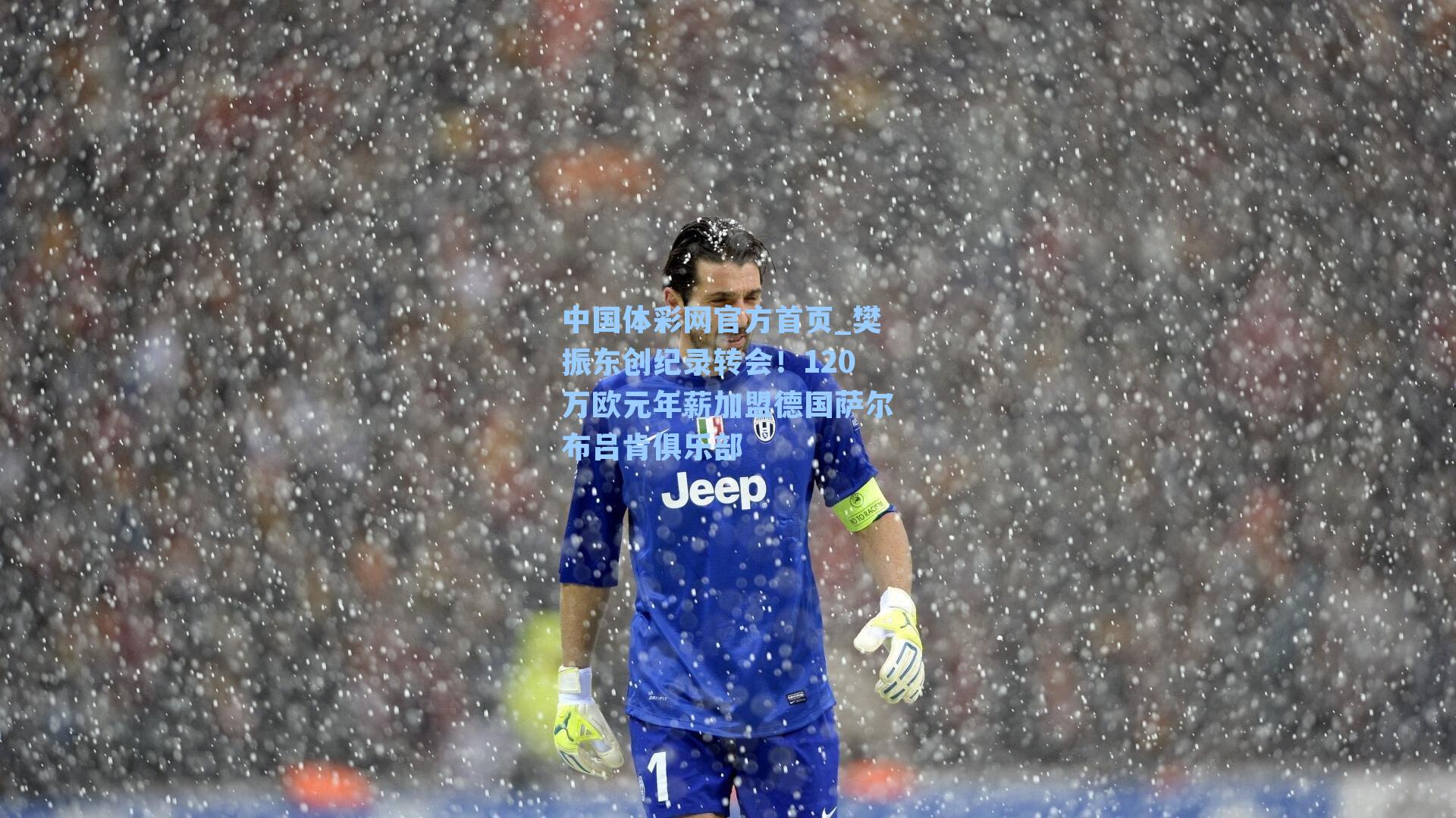 樊振东创纪录转会！120万欧元年薪加盟德国萨尔布吕肯俱乐部