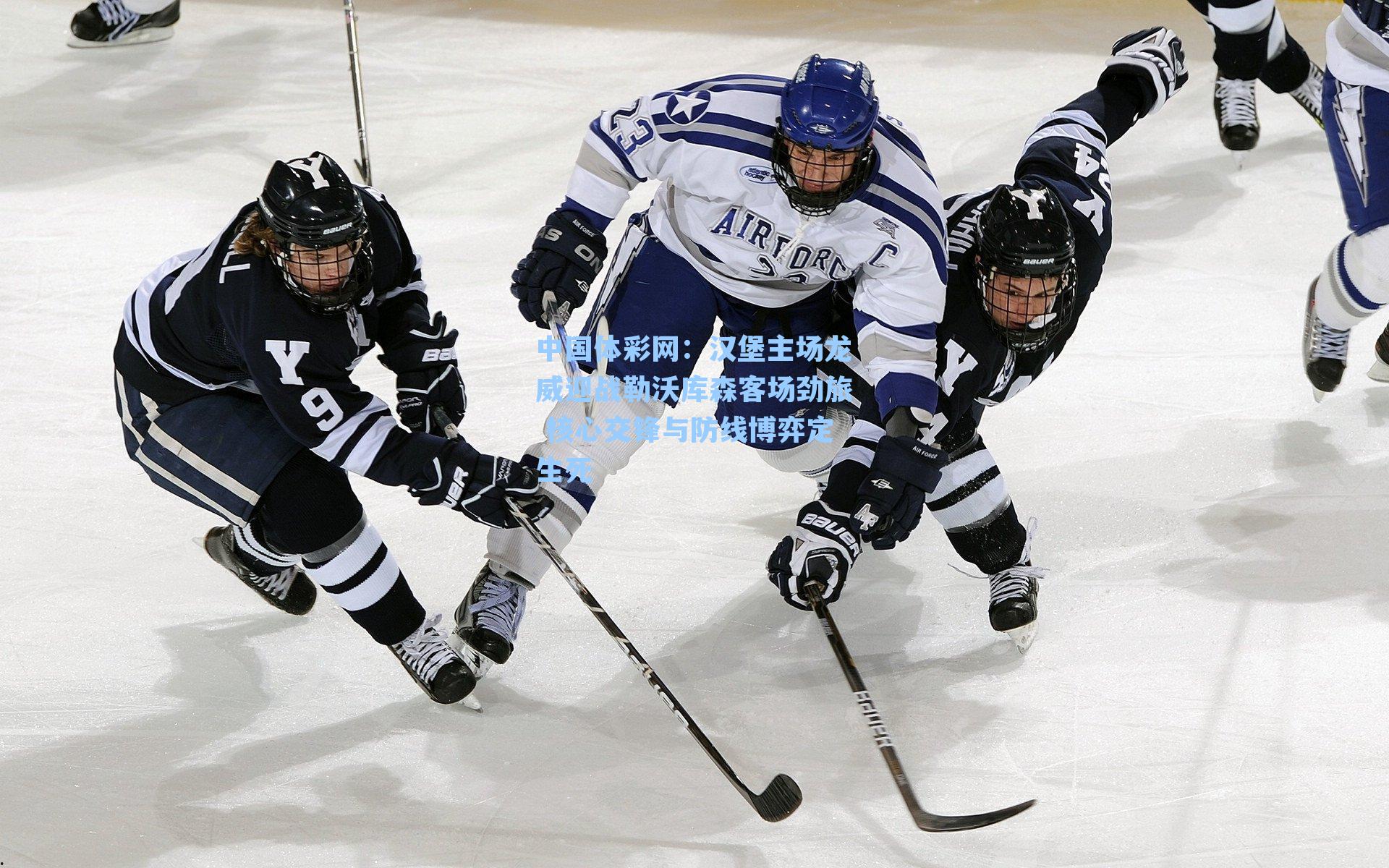 汉堡主场龙威迎战勒沃库森客场劲旅 核心交锋与防线博弈定生死